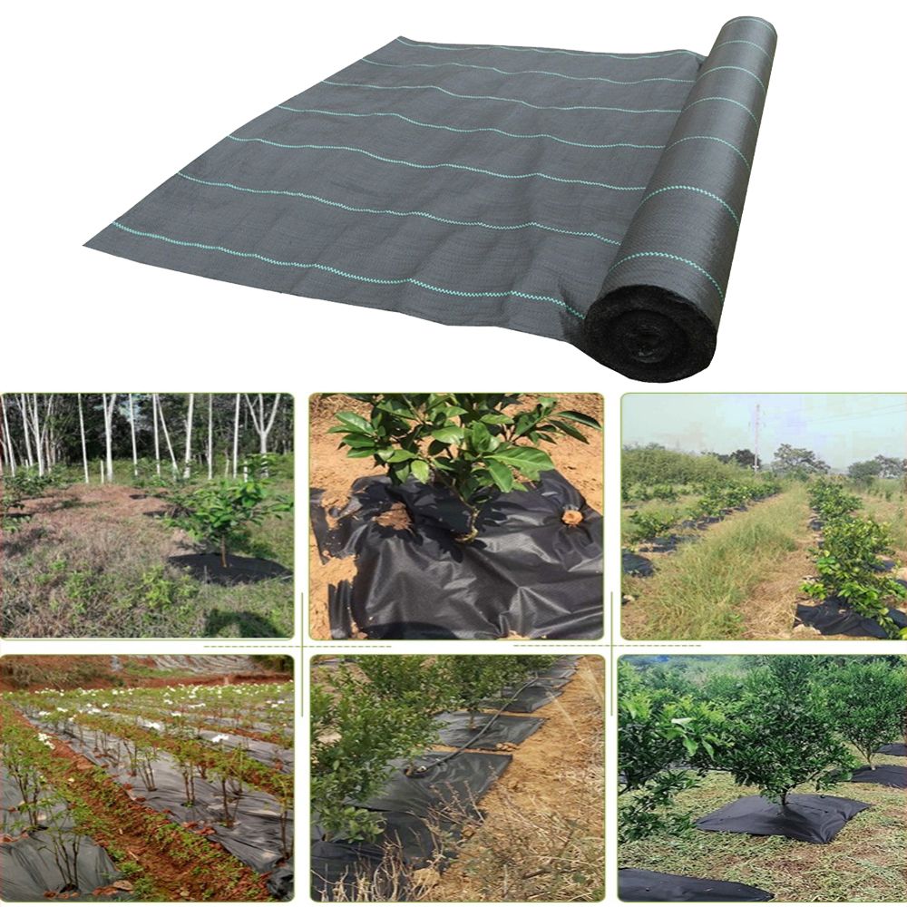Agriculture Weed Barrierdscape Fabric Ground Cover Garden Mat Plastic Plant Grow Care-2X10M
