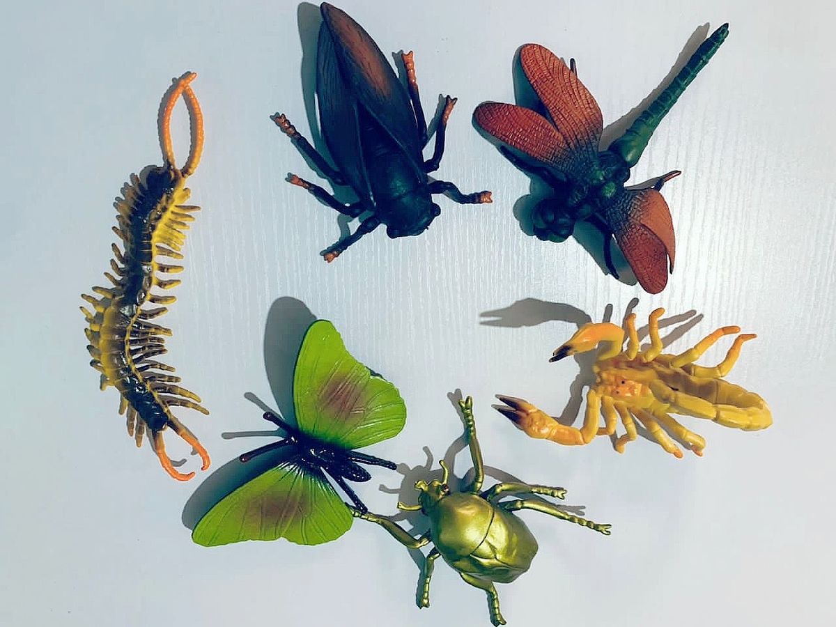 Montessori Learning Set - Mystical Insects Rubber Toys