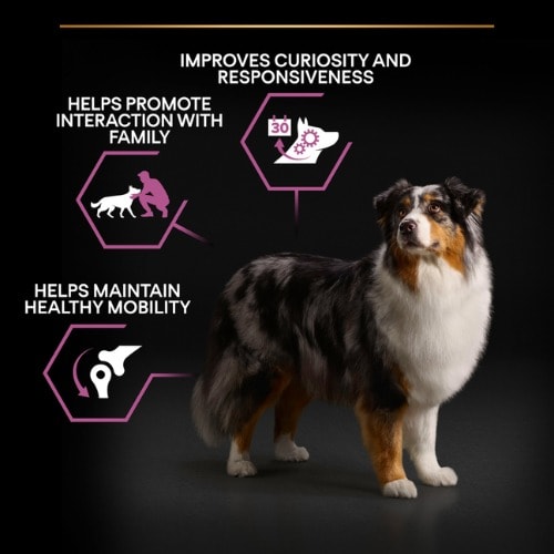 Pro Plan Dog Medium & Large Adult 7+ With Optiage Chicken Dry Food - 3kg