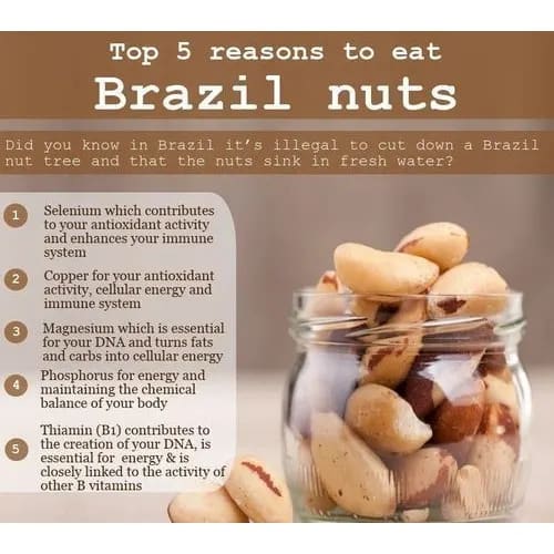 Organic Brazil Nuts -500g
