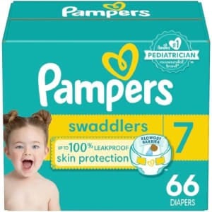 Pampers Swaddlers Size 7-66 Count