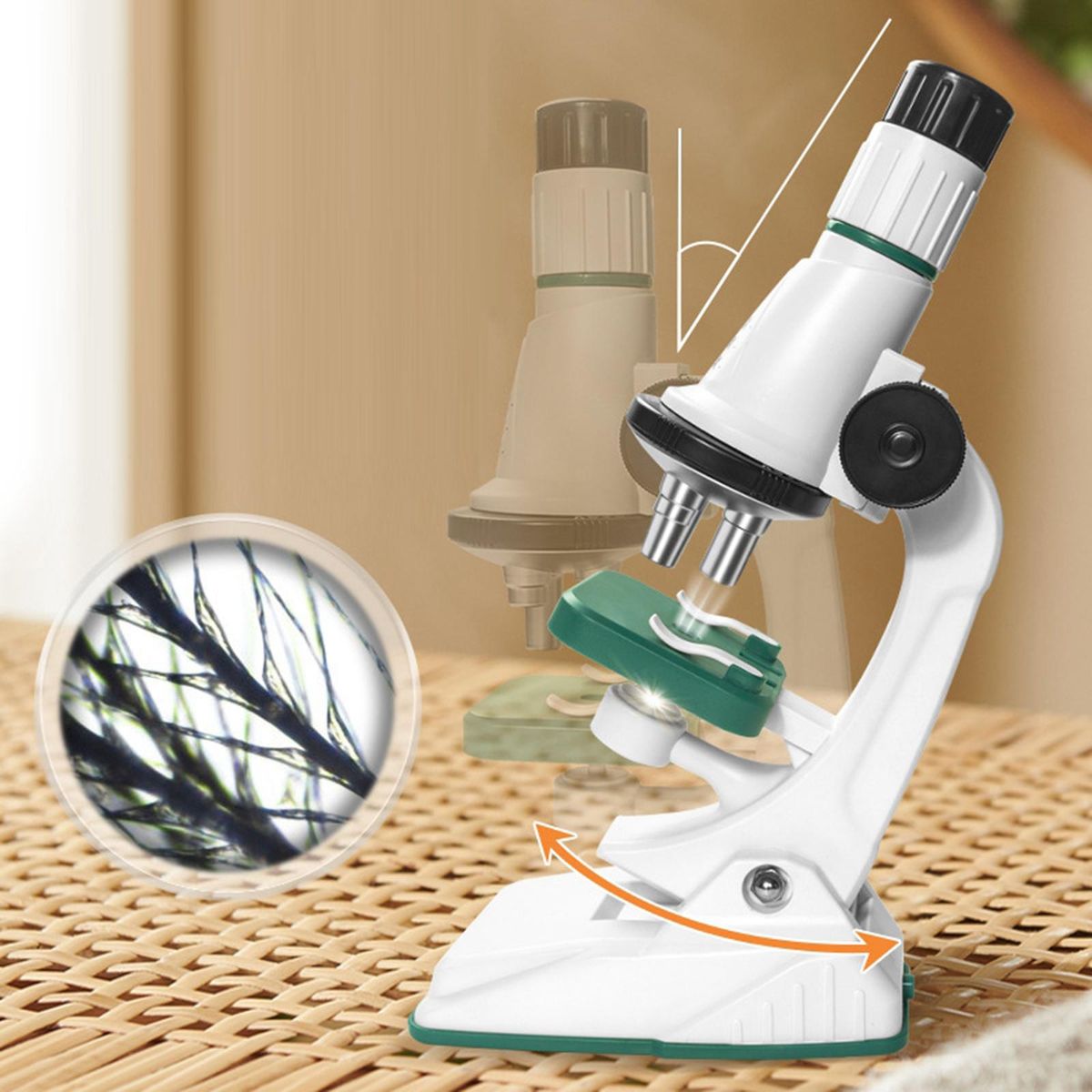 Kids  Kits With Light Biology  For White