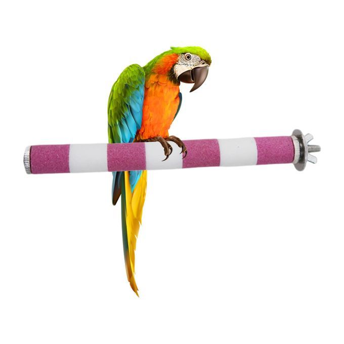 Natural Conure Chewing Tree Branch Rack Perches Pink 2x20cm