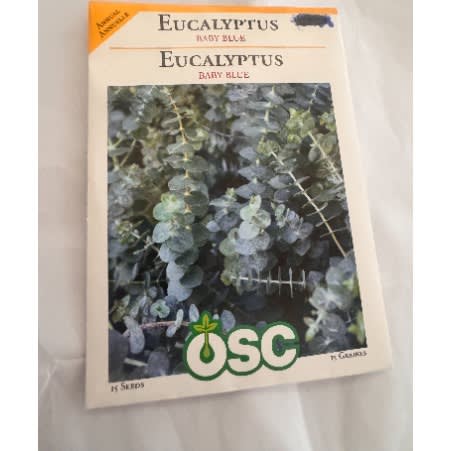 Eucalyptus -baby Blue-15seeds