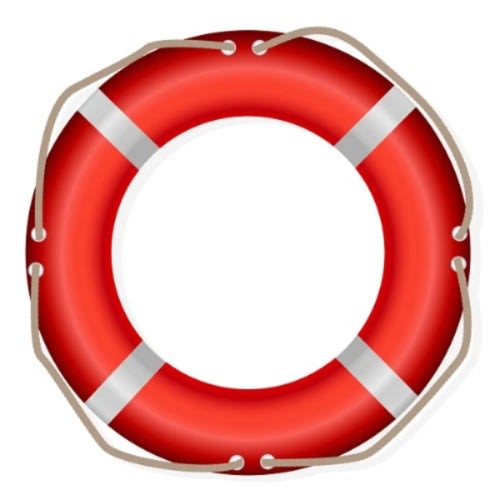 Marine Life Buoy 2.5kg