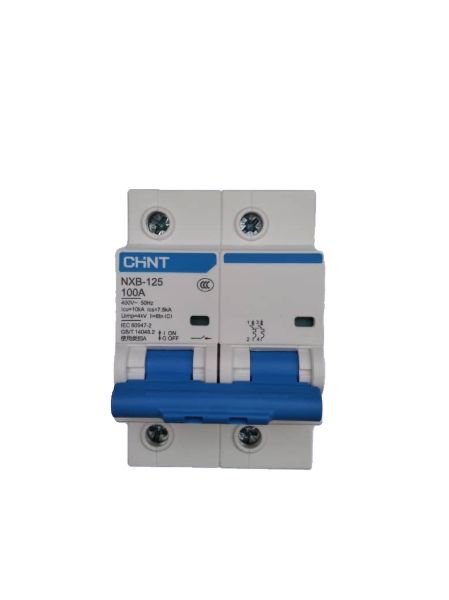2pole Ac Circuit Breaker 100amps