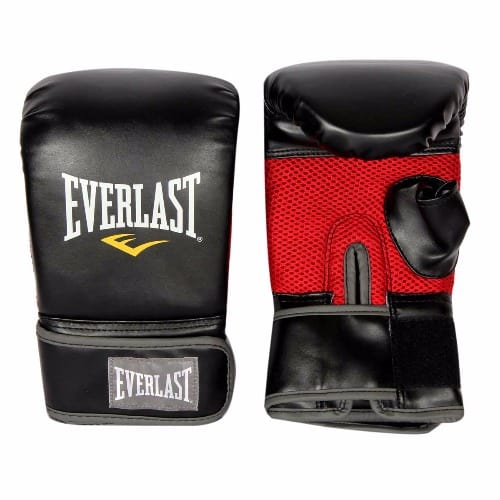 Everlast Boxing Glove